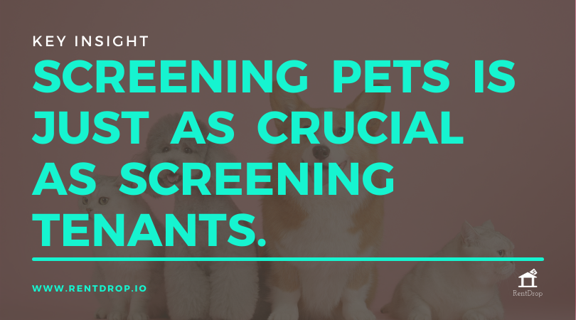 What questions does petscreening ask?